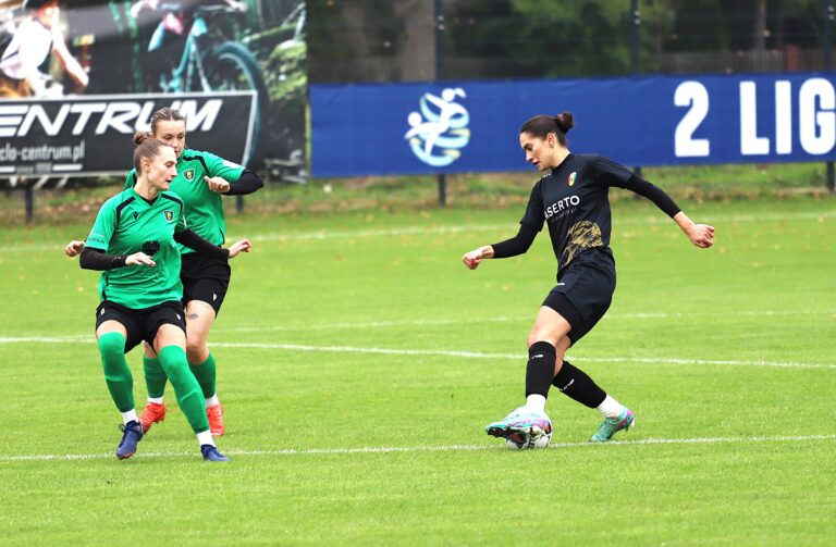 Sokół Kolbuszowa Dolna