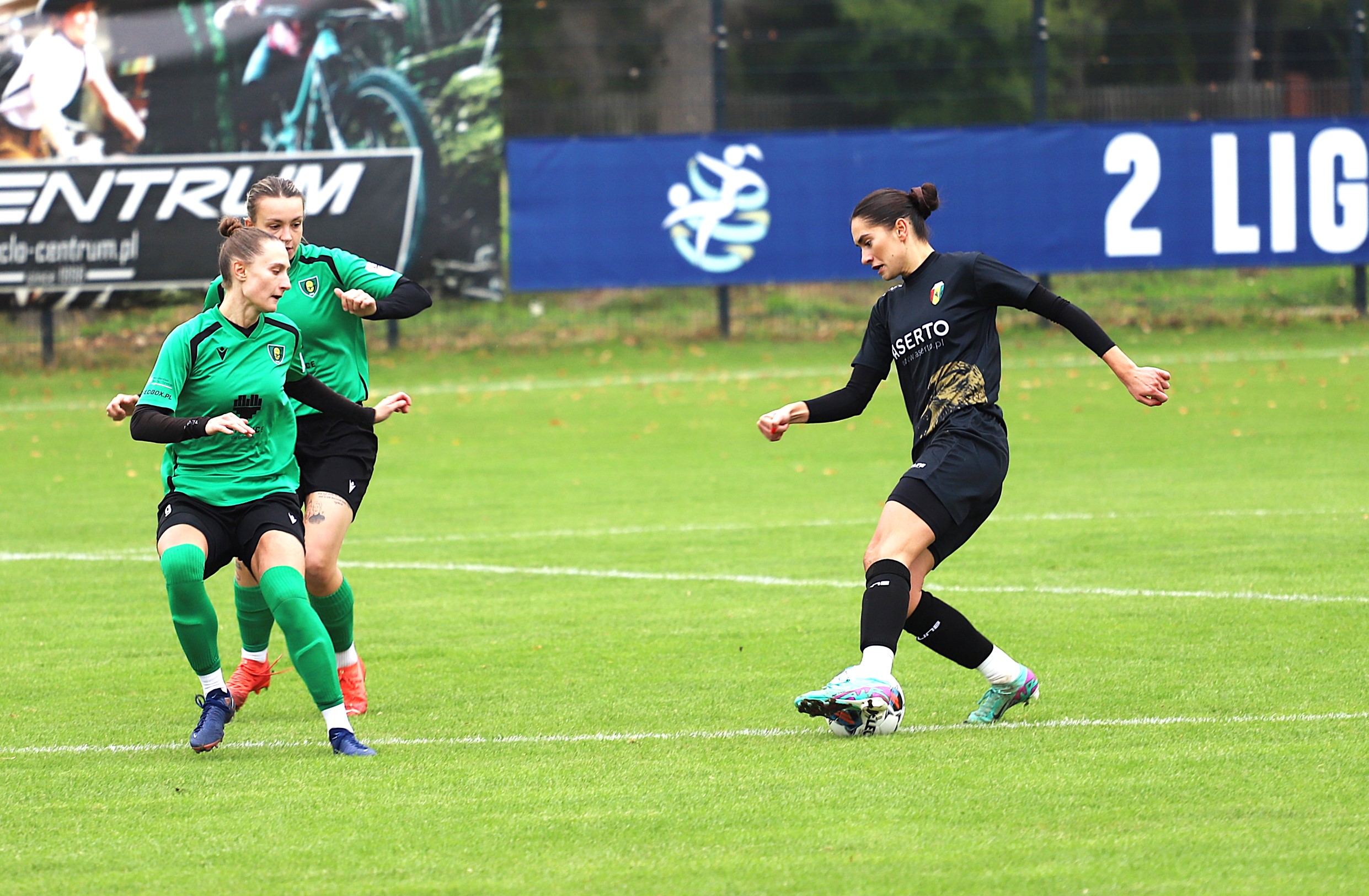 Sokół Kolbuszowa Dolna