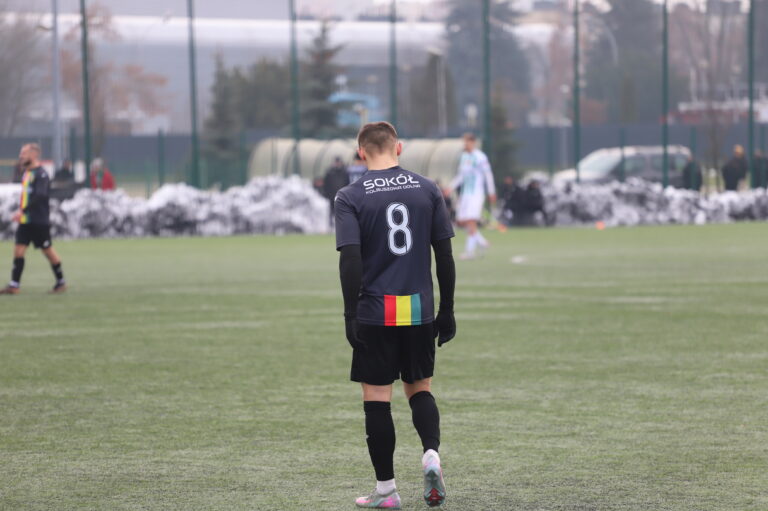 Sokół przygotowania