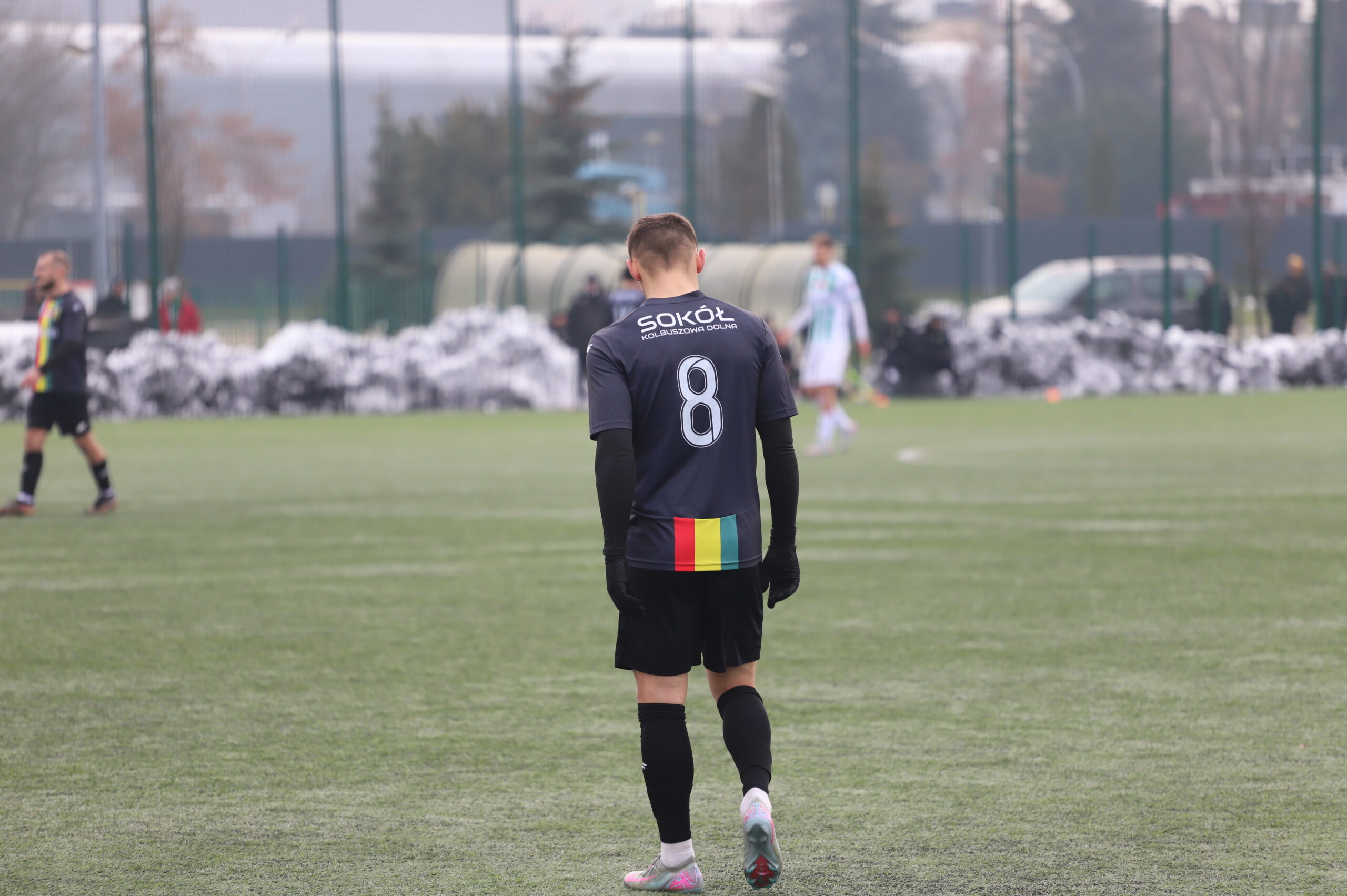 Sokół przygotowania